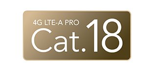 Cat18